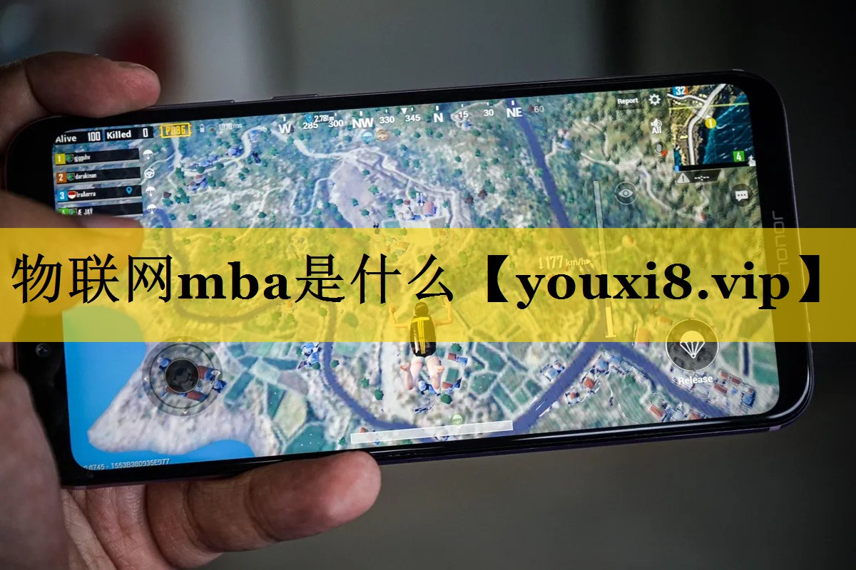 <strong>物联网mba是什么</strong>
