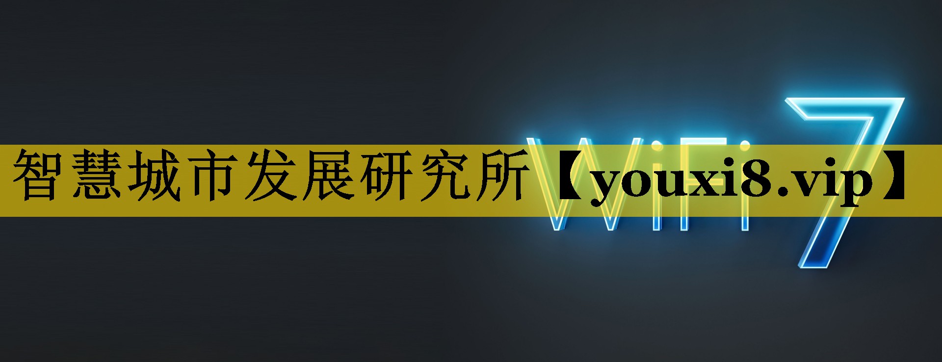 智慧城市发展研究所