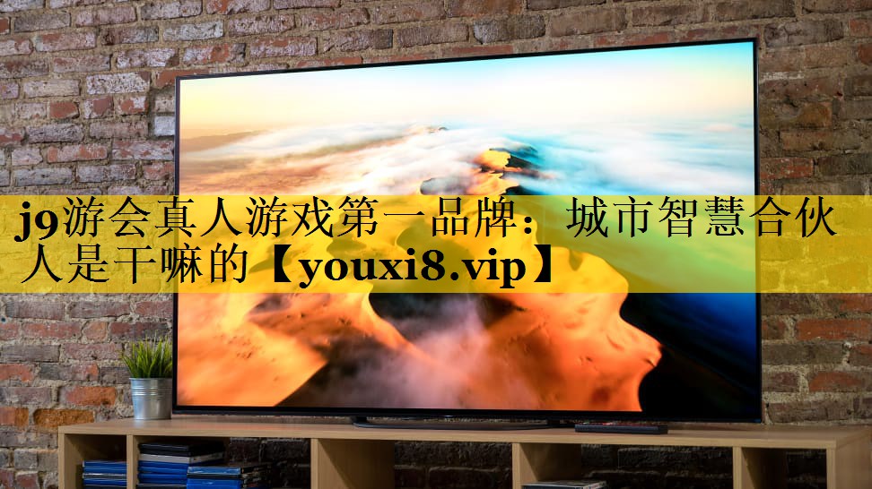 j9游会真人游戏第一品牌：城市智慧合伙人是干嘛的