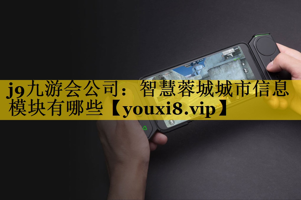 j9九游会公司：智慧蓉城城市信息模块有哪些