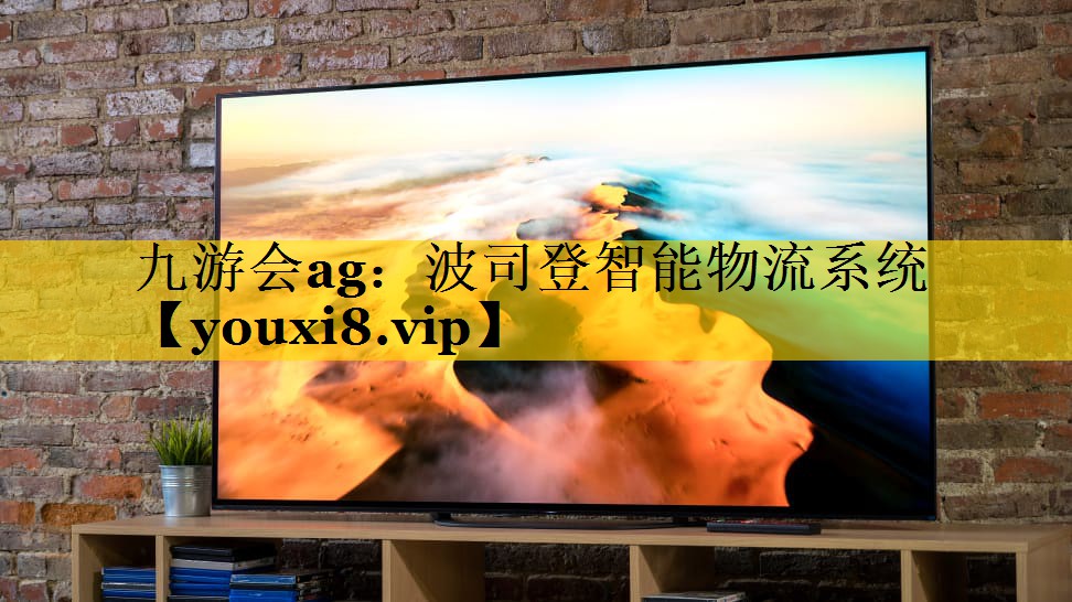 九游会ag：波司登智能物流系统