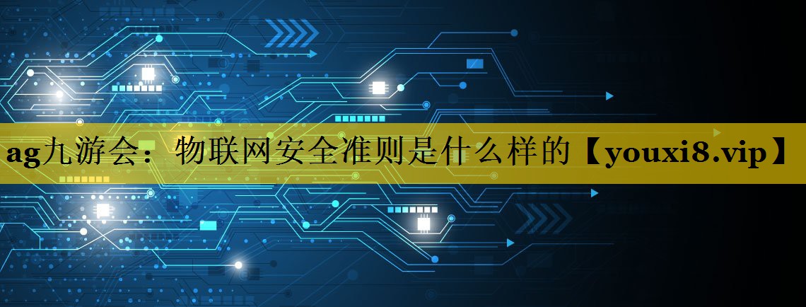 物联网安全准则是什么样的 物联网安全准则是什么样的