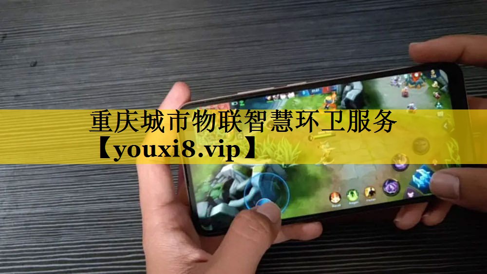 重庆城市物联智慧环卫服务 重庆城市物联智慧环卫服务