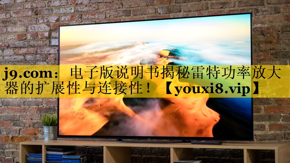 电子版说明书揭秘雷特功率放大器的扩展性与连接性! 电子版说明书揭秘雷特功率放大器的扩展性与连接性!