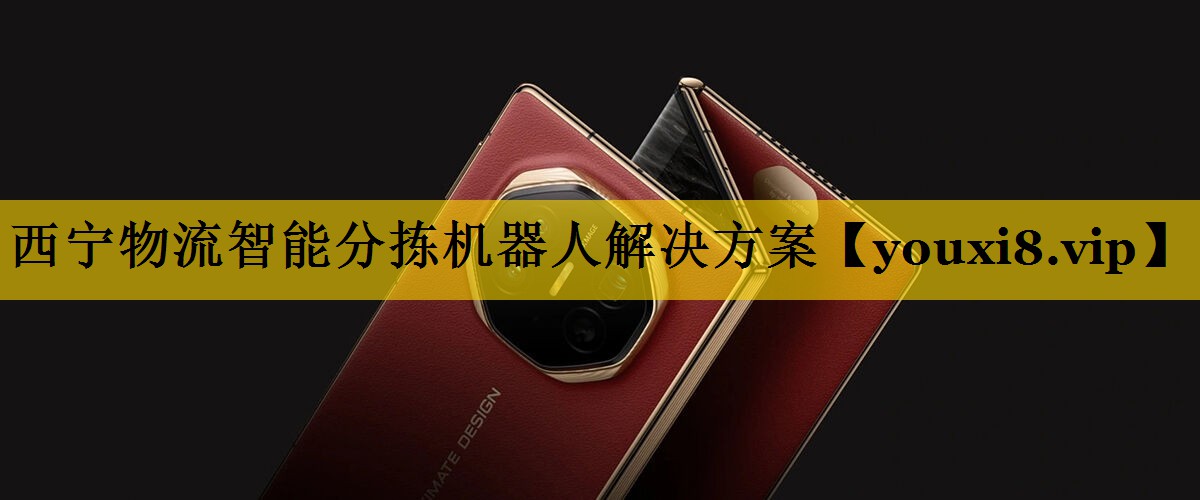 西宁物流智能分拣机器人解决方案 西宁物流智能分拣机器人解决方案