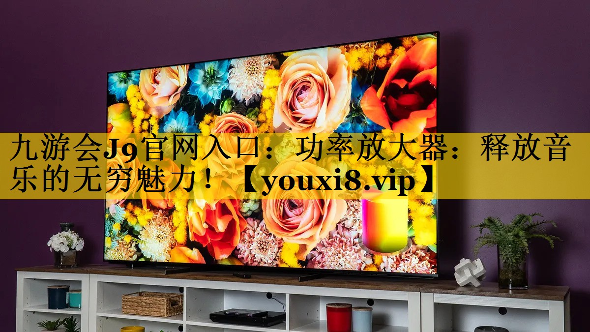 功率放大器:释放音乐的无穷魅力! 功率放大器:释放音乐的无穷魅力!