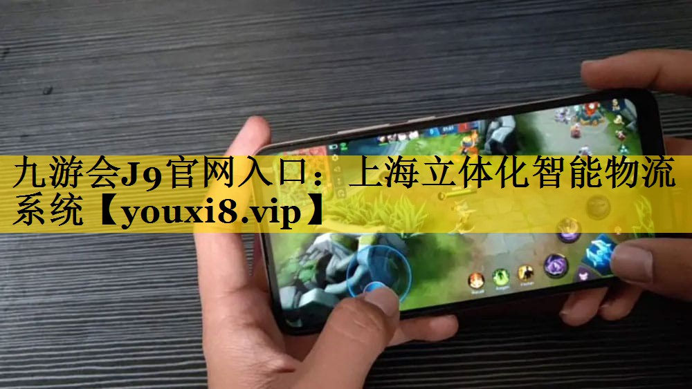 上海立体化智能物流系统 上海立体化智能物流系统
