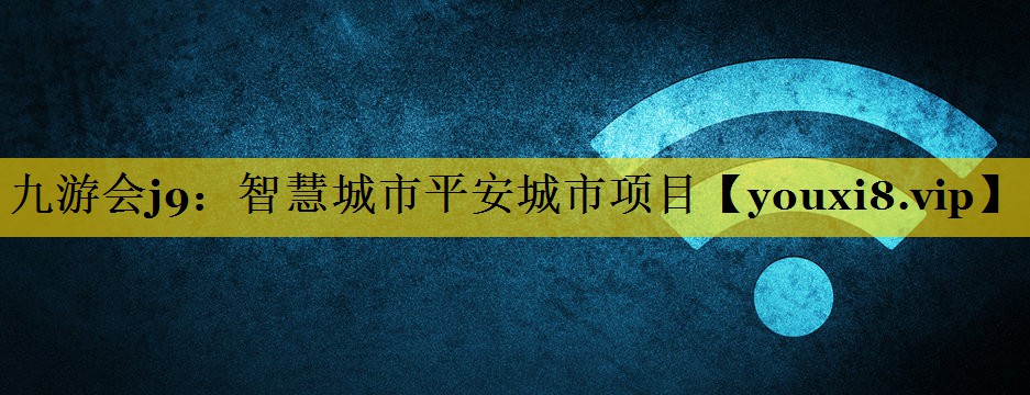智慧城市平安城市项目 智慧城市平安城市项目