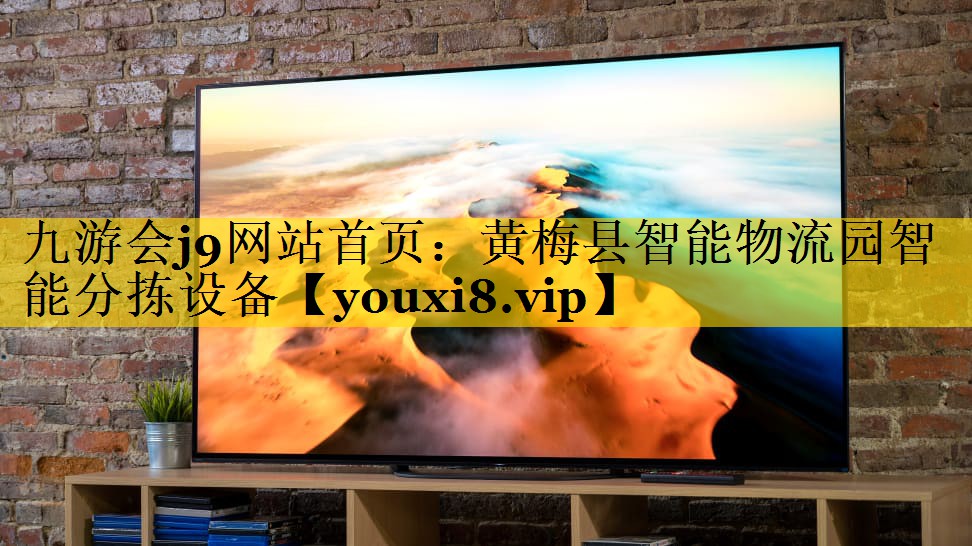 黄梅县智能物流园智能分拣设备 黄梅县智能物流园智能分拣设备