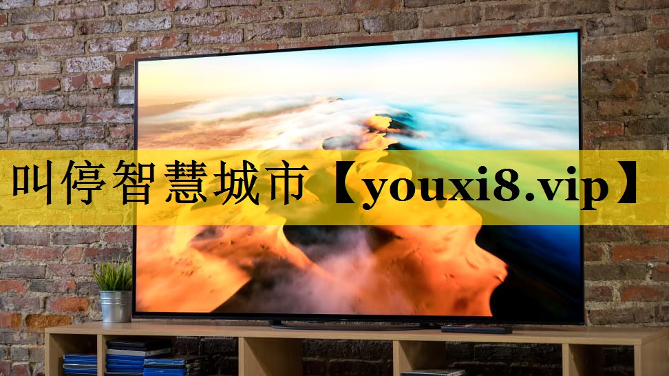 叫停智慧城市 叫停智慧城市