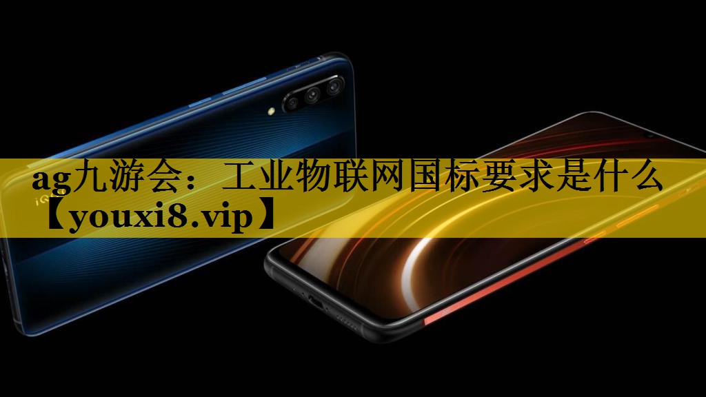 工业物联网国标要求是什么 工业物联网国标要求是什么