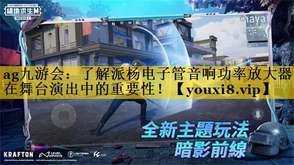 了解派杨电子管音响功率放大器在舞台演出中的重要性! 了解派杨电子管音响功率放大器在舞台演出中的重要性!