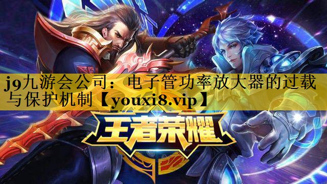 电子管功率放大器的过载与保护机制 电子管功率放大器的过载与保护机制
