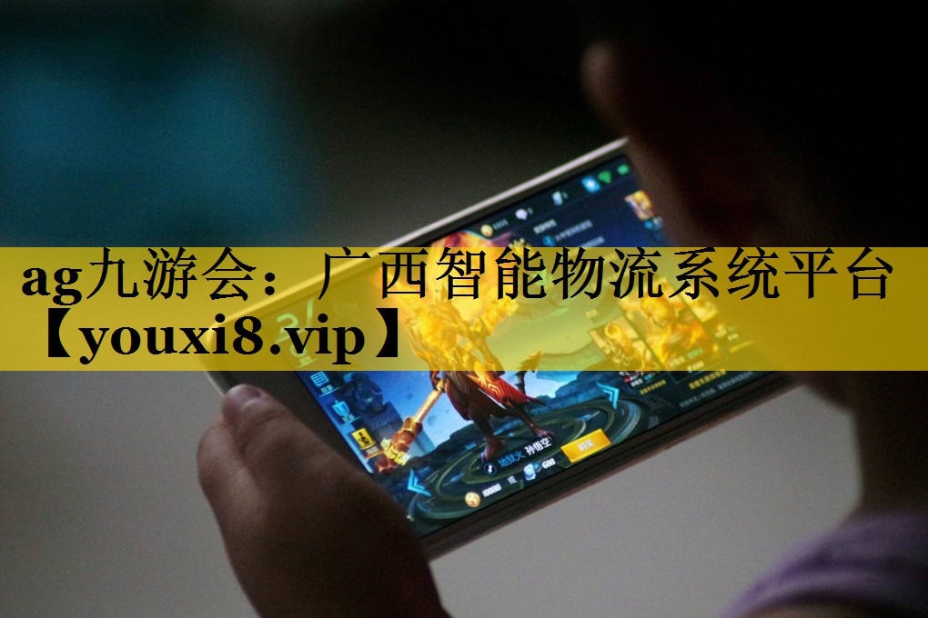 广西智能物流系统平台 广西智能物流系统平台