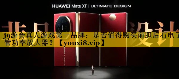 是否值得购买前胆后石电子管功率放大器? 是否值得购买前胆后石电子管功率放大器?