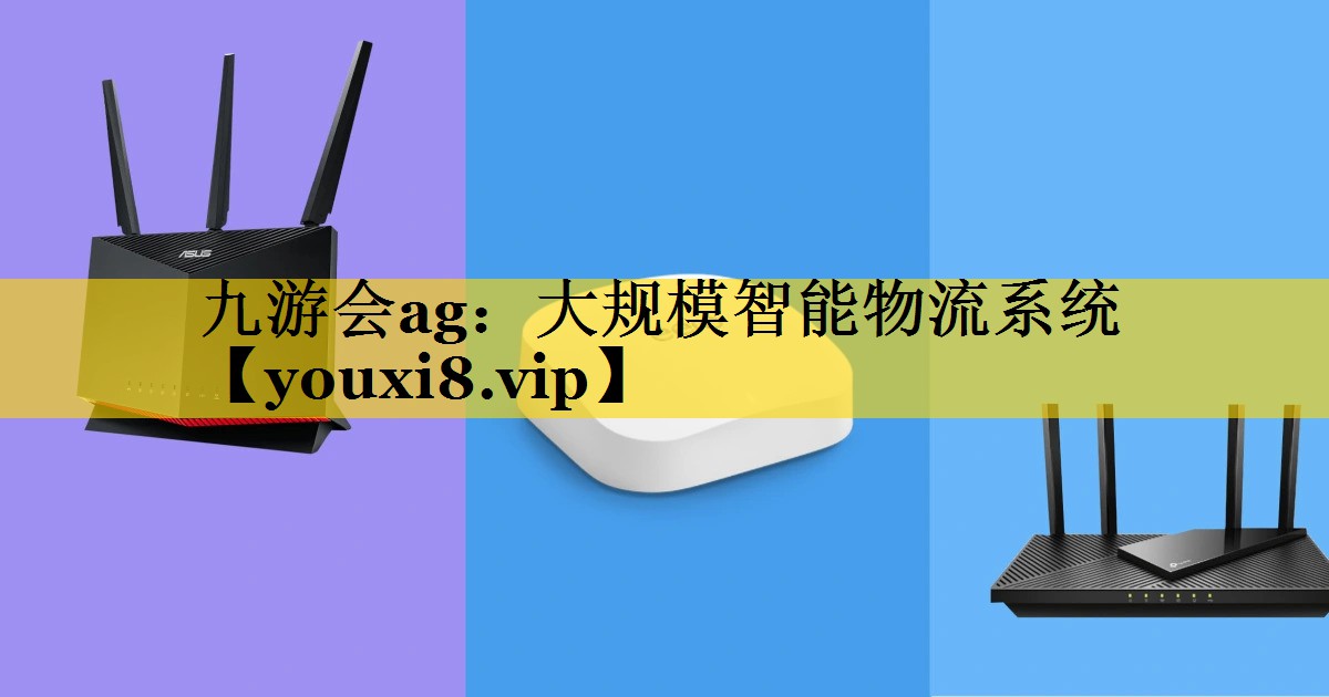 大规模智能物流系统 大规模智能物流系统