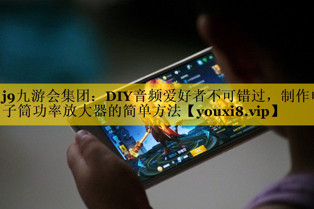 DIY音频爱好者不可错过,制作电子筒功率放大器的简单方法 DIY音频爱好者不可错过,制作电子筒功率放大器的简单方法