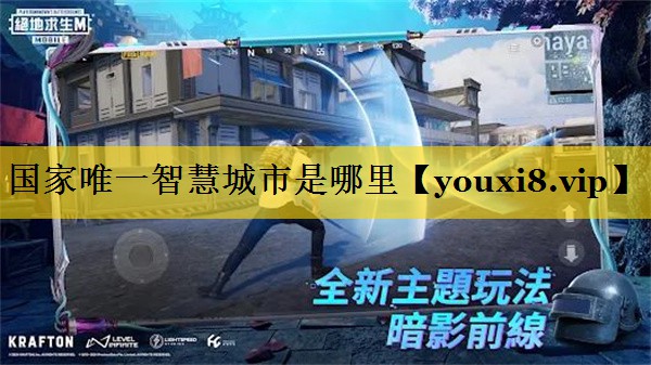国家唯一智慧城市是哪里 国家唯一智慧城市是哪里