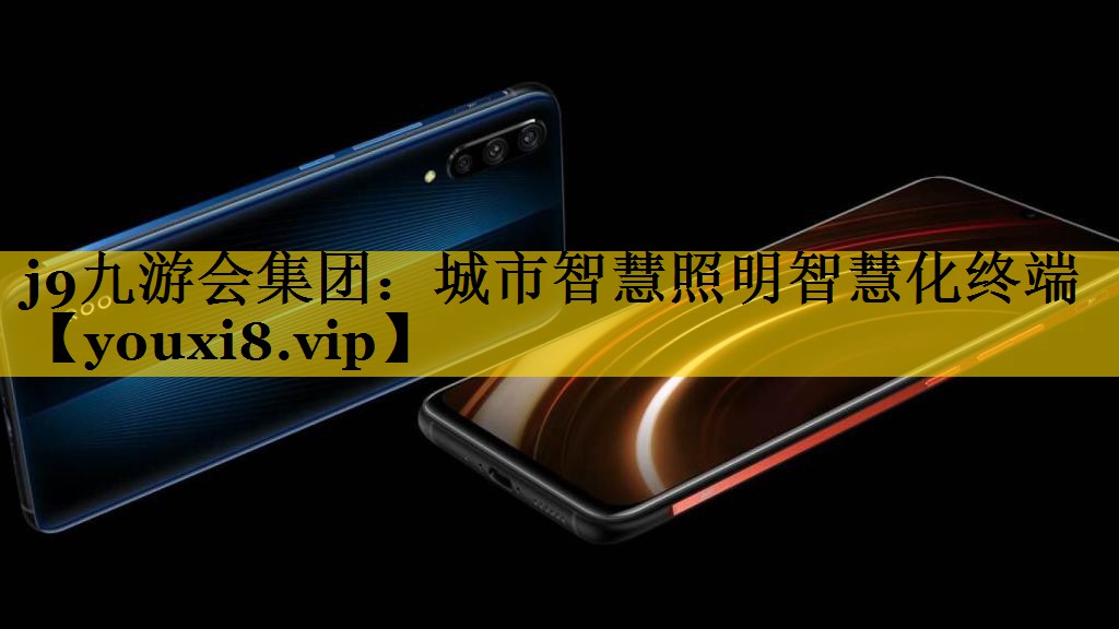 城市智慧照明智慧化终端 城市智慧照明智慧化终端