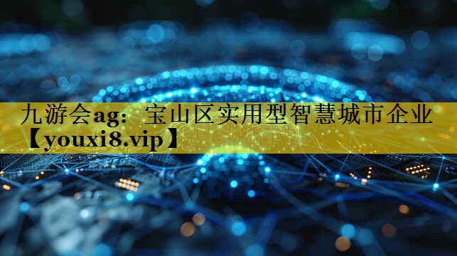 宝山区实用型智慧城市企业 宝山区实用型智慧城市企业