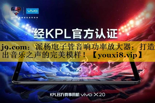 派杨电子管音响功率放大器:打造出音乐之声的完美模样! 派杨电子管音响功率放大器:打造出音乐之声的完美模样!