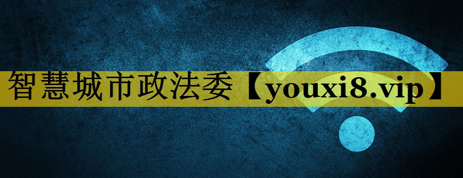 智慧城市政法委 智慧城市政法委