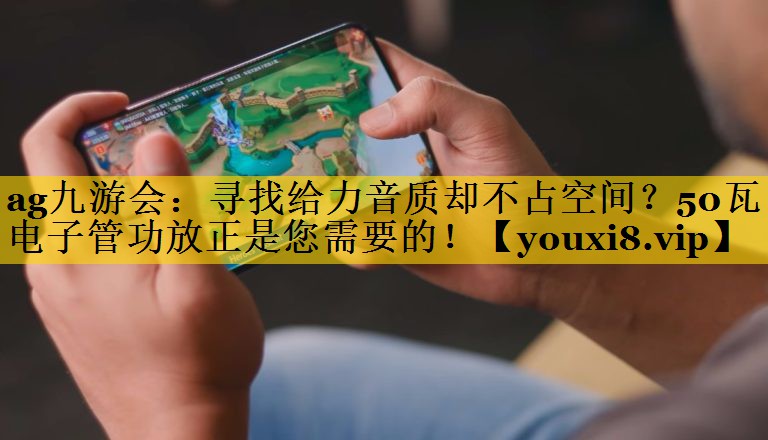 寻找给力音质却不占空间?50瓦电子管功放正是您需要的! 寻找给力音质却不占空间?50瓦电子管功放正是您需要的!
