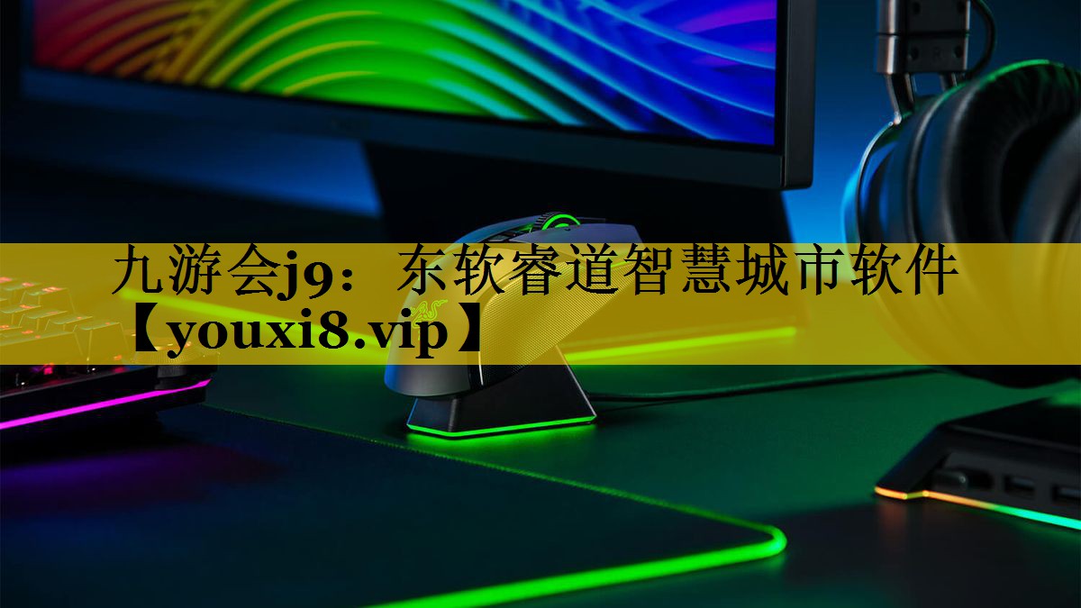 东软睿道智慧城市软件 东软睿道智慧城市软件