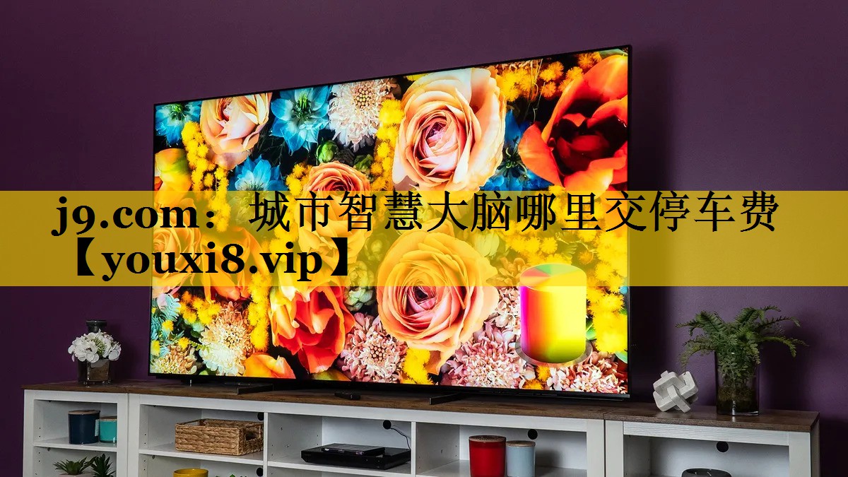 城市智慧大脑哪里交停车费 城市智慧大脑哪里交停车费