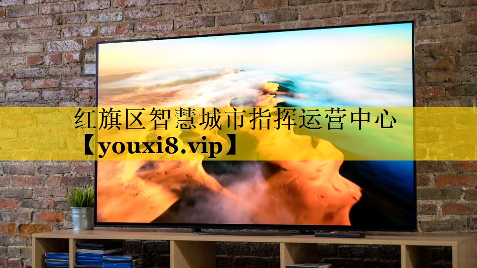 红旗区智慧城市指挥运营中心 红旗区智慧城市指挥运营中心