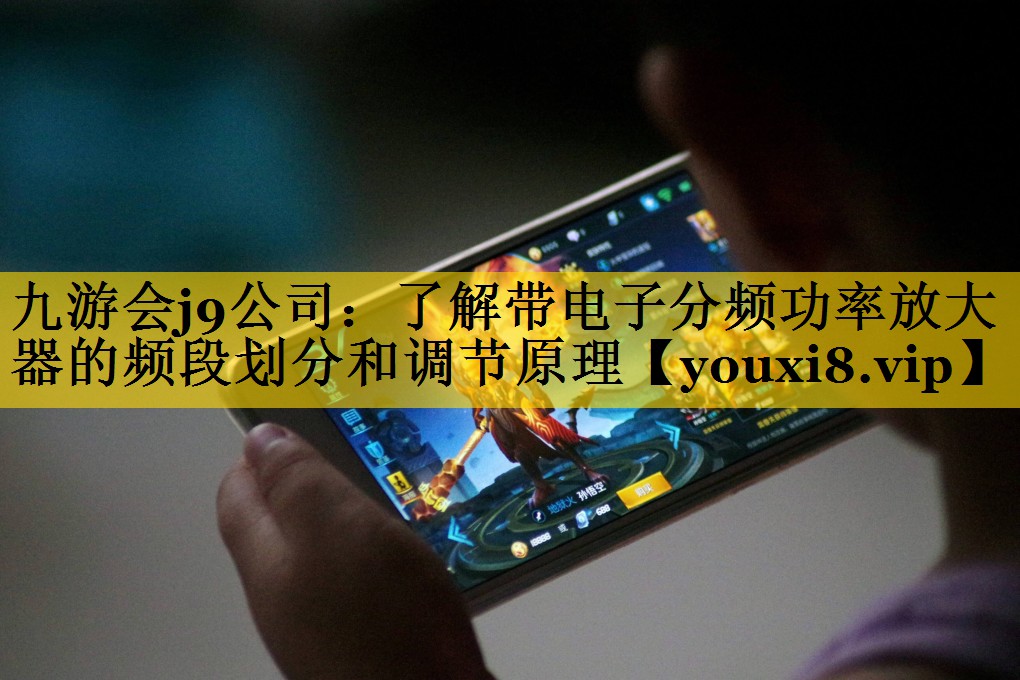 了解带电子分频功率放大器的频段划分和调节原理 了解带电子分频功率放大器的频段划分和调节原理