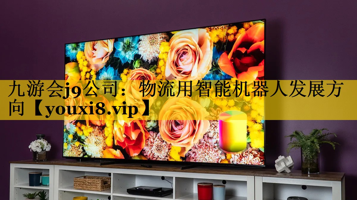 物流用智能机器人发展方向 物流用智能机器人发展方向