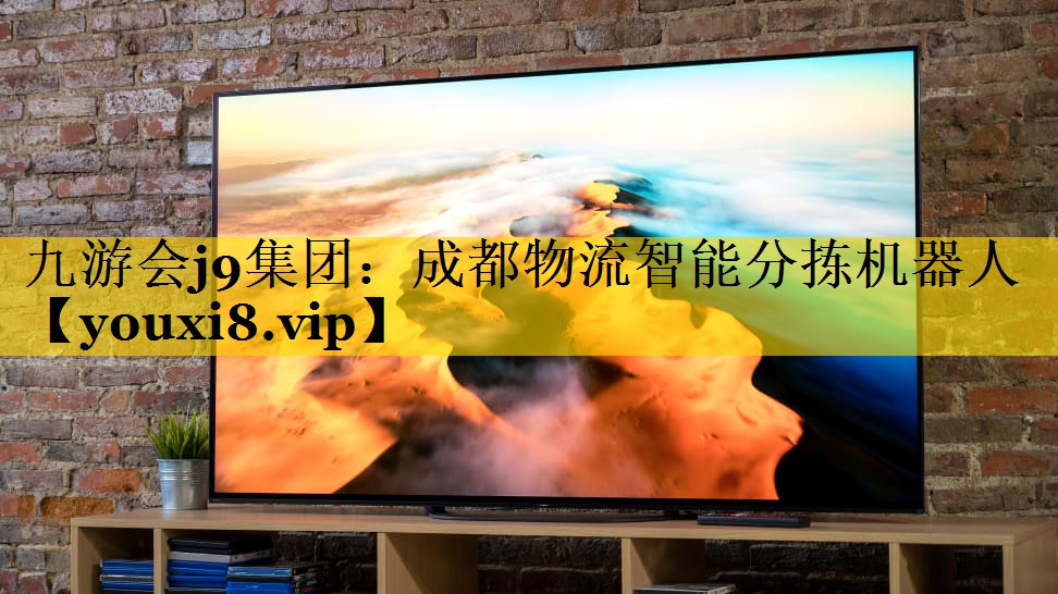 成都物流智能分拣机器人 成都物流智能分拣机器人