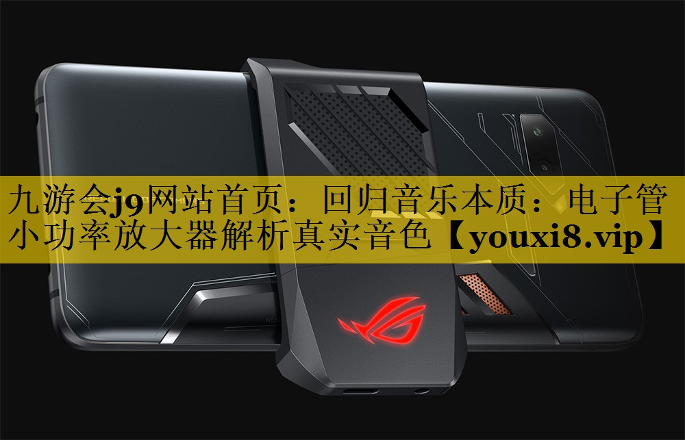 回归音乐本质:电子管小功率放大器解析真实音色 回归音乐本质:电子管小功率放大器解析真实音色