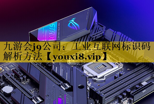 工业互联网标识码解析方法 工业互联网标识码解析方法