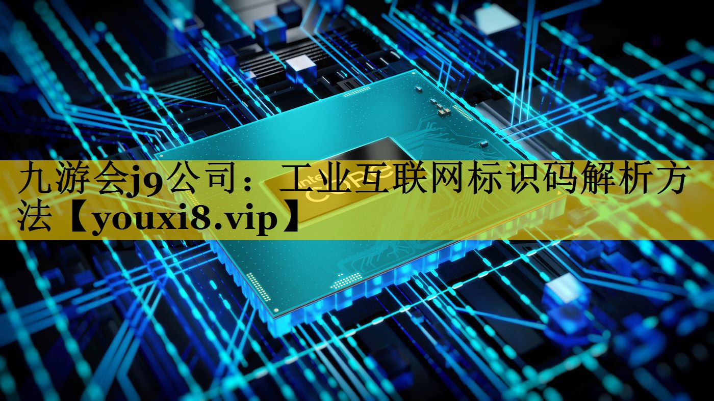 工业互联网标识码解析方法 工业互联网标识码解析方法