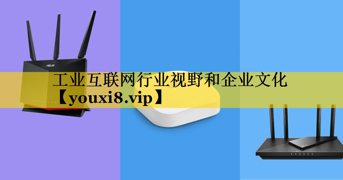 工业互联网行业视野和企业文化 工业互联网行业视野和企业文化