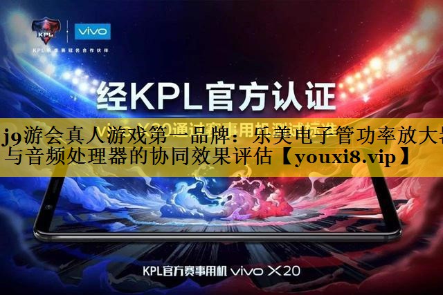 乐美电子管功率放大器与音频处理器的协同效果评估 乐美电子管功率放大器与音频处理器的协同效果评估