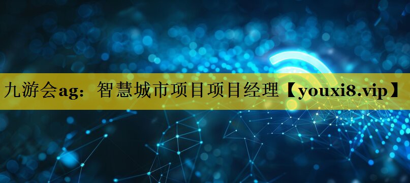 智慧城市项目项目经理 智慧城市项目项目经理