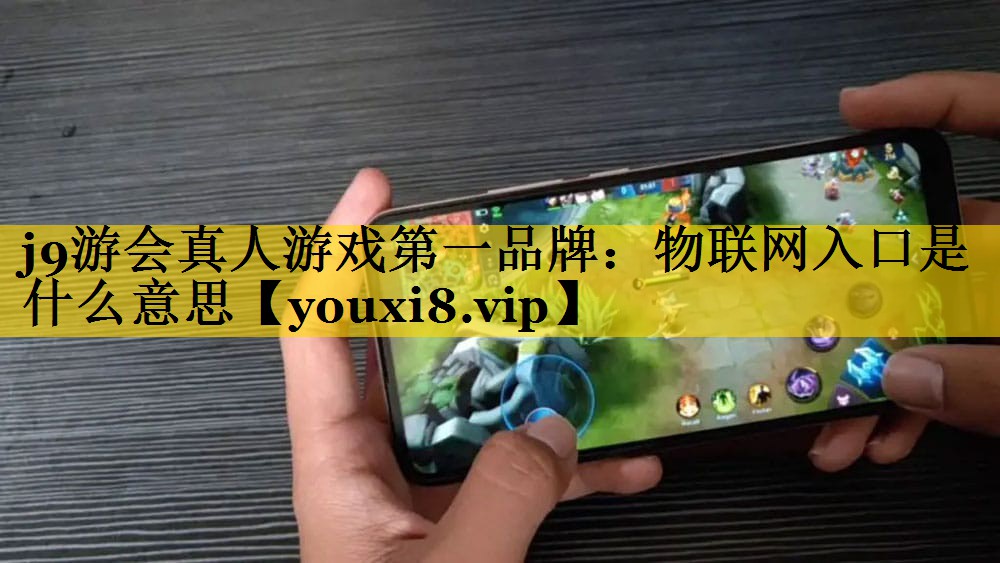 物联网入口是什么意思 物联网入口是什么意思