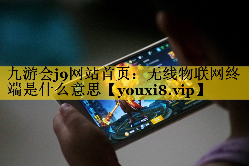 无线物联网终端是什么意思 无线物联网终端是什么意思