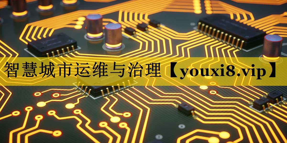 智慧城市运维与治理 智慧城市运维与治理
