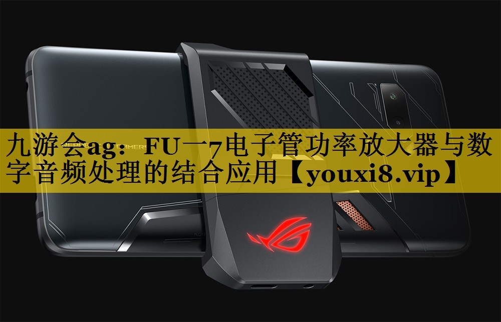 FU一7电子管功率放大器与数字音频处理的结合应用 FU一7电子管功率放大器与数字音频处理的结合应用