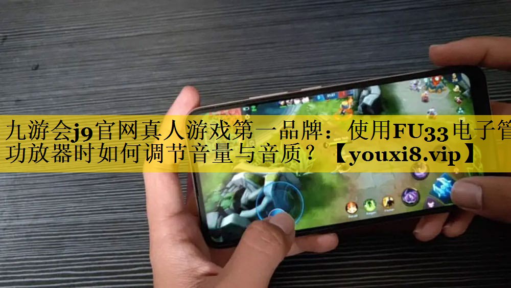 使用FU33电子管功放器时如何调节音量与音质? 使用FU33电子管功放器时如何调节音量与音质?