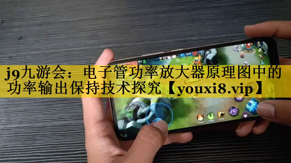 电子管功率放大器原理图中的功率输出保持技术探究 电子管功率放大器原理图中的功率输出保持技术探究