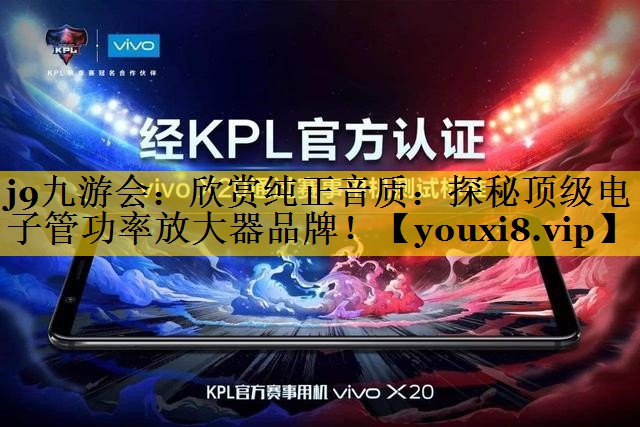 欣赏纯正音质:探秘顶级电子管功率放大器品牌! 欣赏纯正音质:探秘顶级电子管功率放大器品牌!