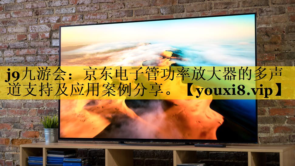 京东电子管功率放大器的多声道支持及应用案例分享。
