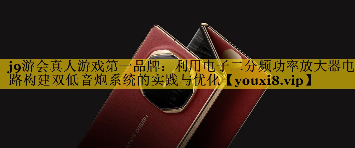 利用电子二分频功率放大器电路构建双低音炮系统的实践与优化 利用电子二分频功率放大器电路构建双低音炮系统的实践与优化