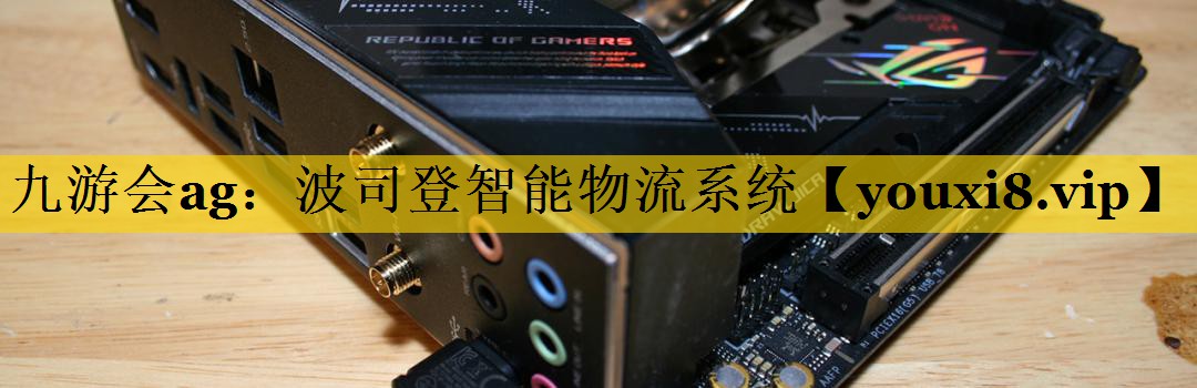 波司登智能物流系统 波司登智能物流系统